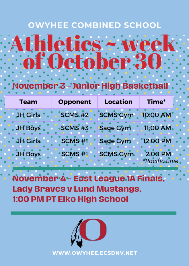 Live Feed Owyhee Combined School